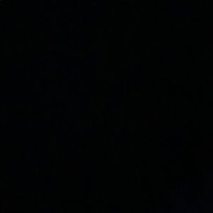 Meet your Posher, Janey